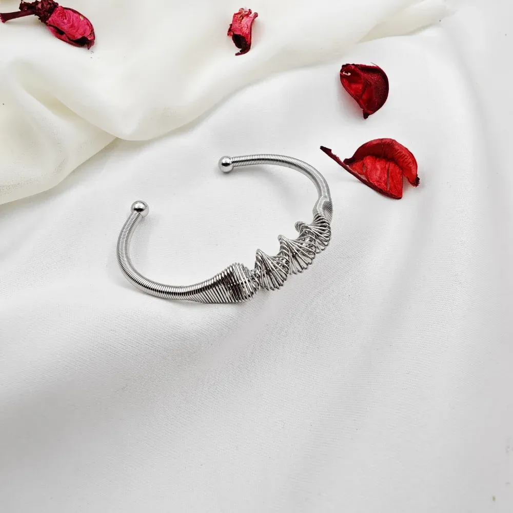 Stainless Steel Modern Kelepçe