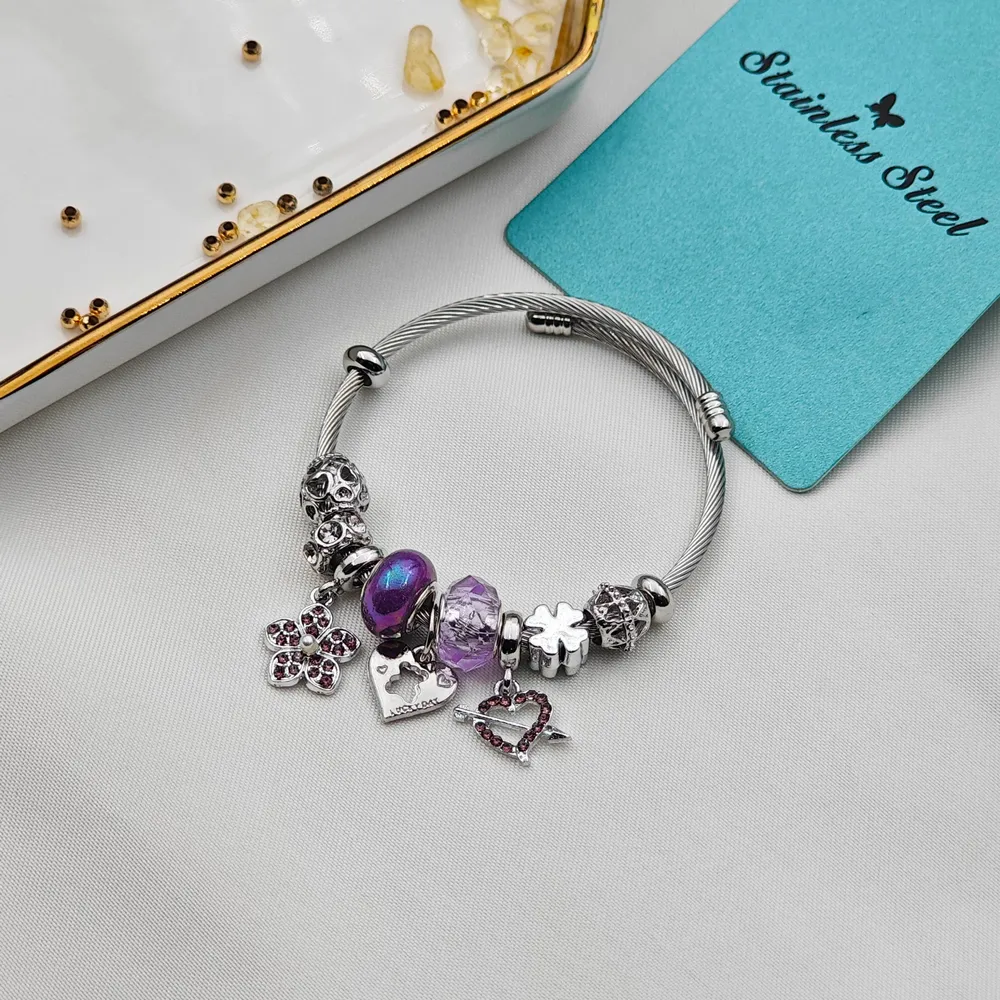 Stainless Steel Pandora Bileklik